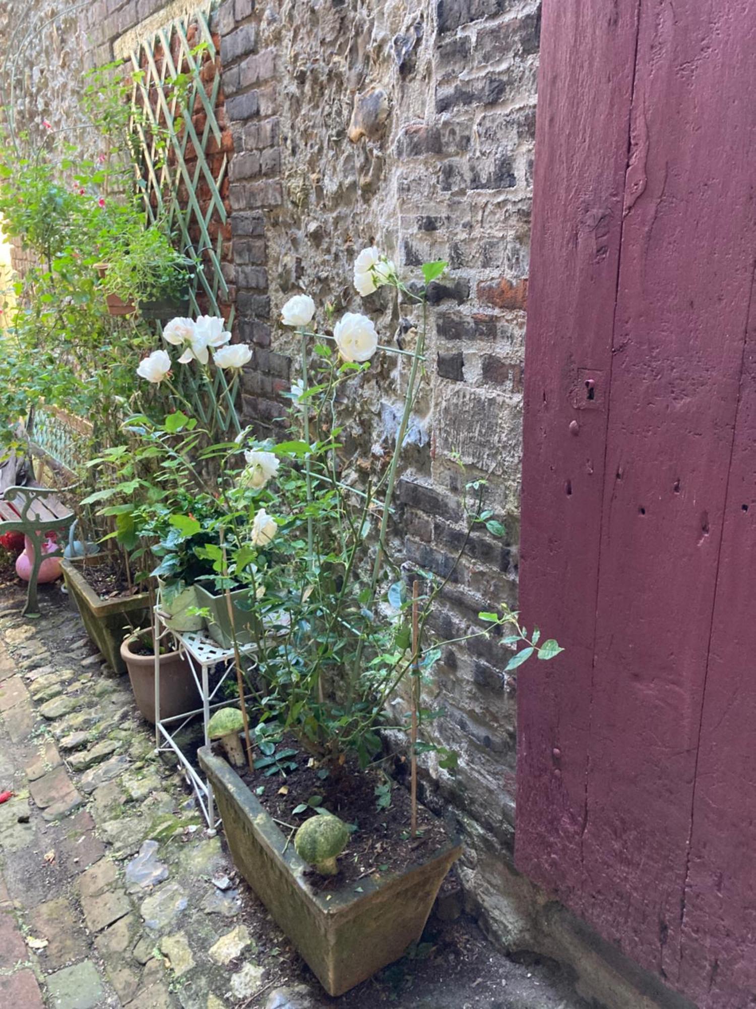 La Maison Belle Maree 翁弗勒尔 外观 照片